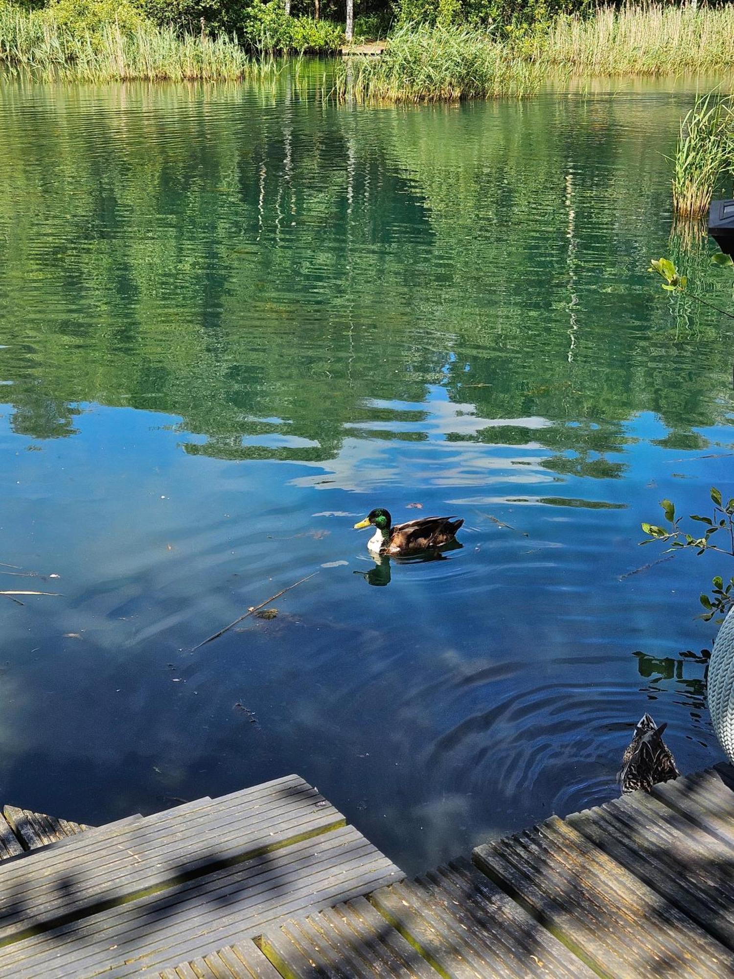 Luxury Lakeside Caravan With Hottub And Private Fishing Peg, Tattershall Lakes Экстерьер фото