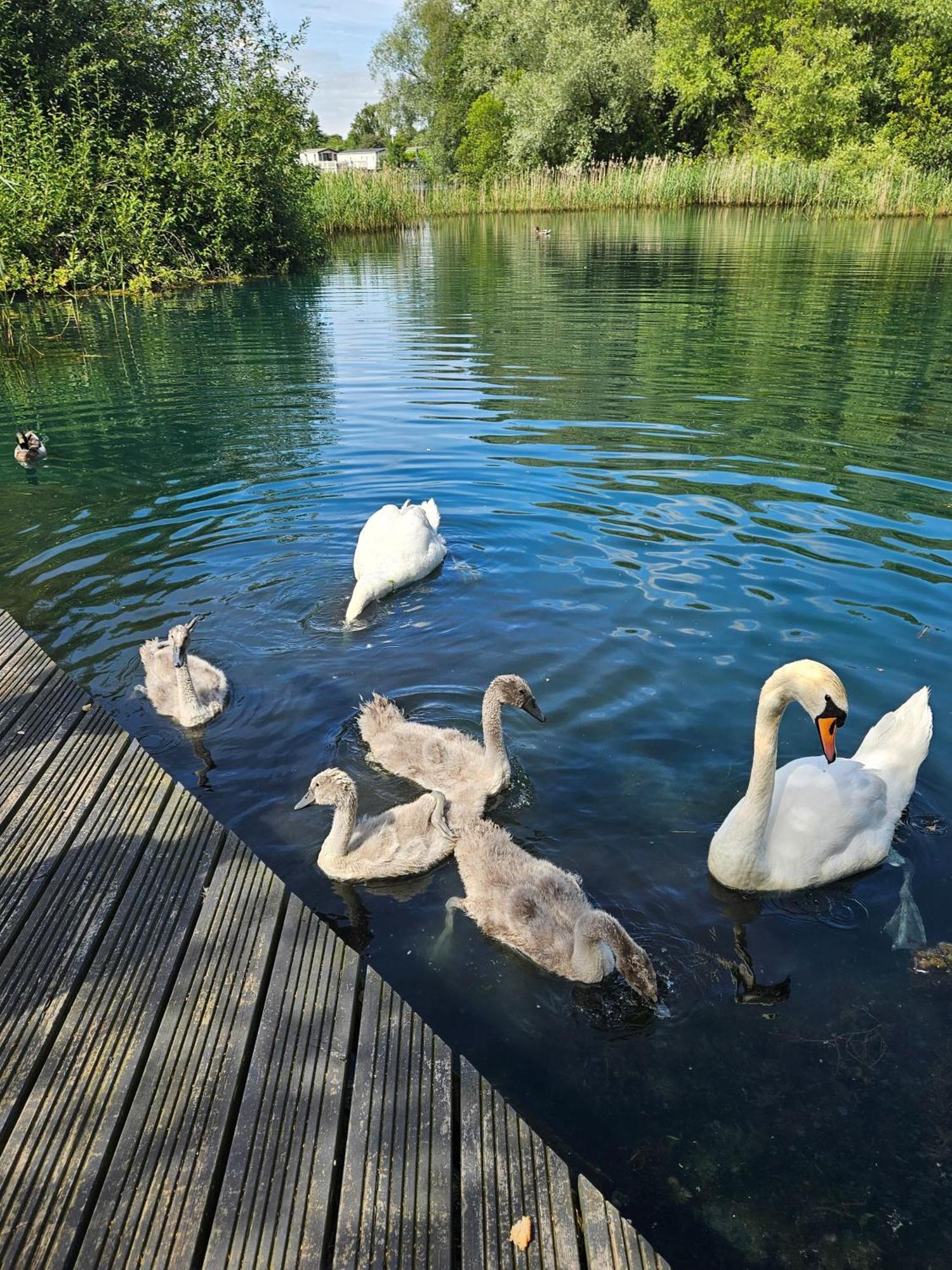 Luxury Lakeside Caravan With Hottub And Private Fishing Peg, Tattershall Lakes Экстерьер фото